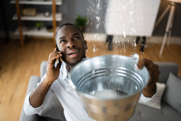 Best Water damage restoration company  in Onset, MA