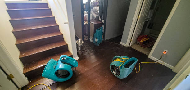 Best Carpet water damage restoration  in Onset, MA