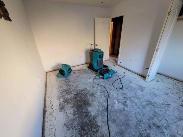 Best Water damage repair service  in Onset, MA