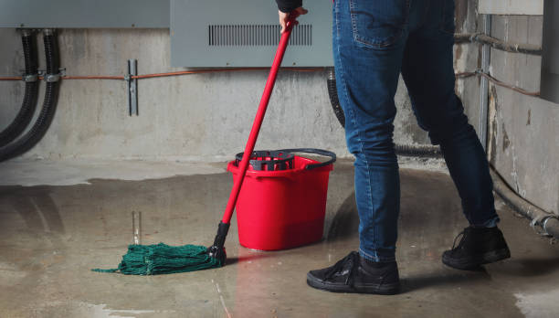 Carpet water damage restoration in Onset, MA