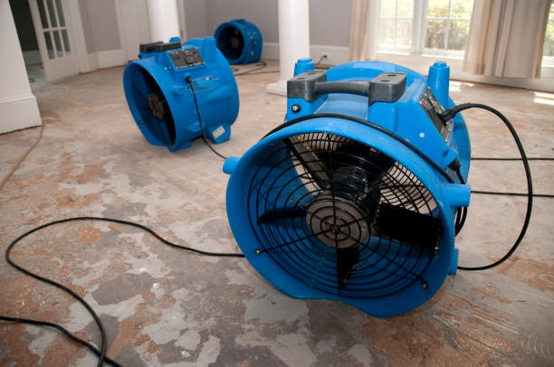  Onset, MA Water damage restoration Pros