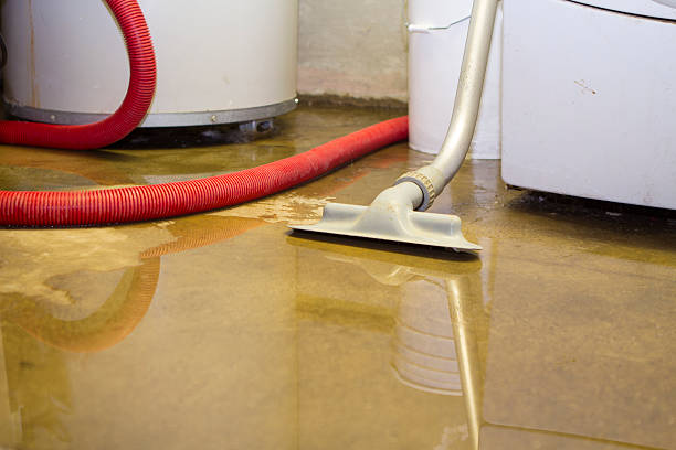 Best 24/7 water damage repair  in Onset, MA