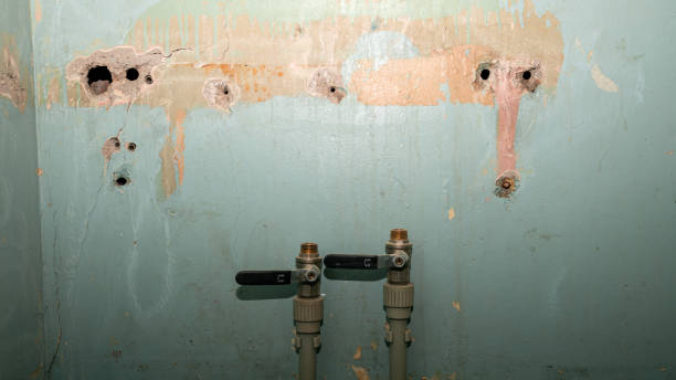 Best Fire Damage Restoration  in Onset, MA