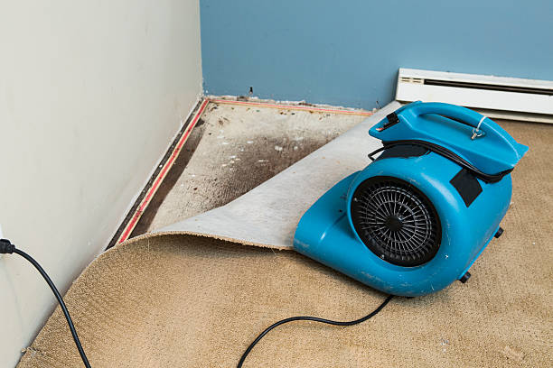 Best Ceiling water damage repair  in Onset, MA